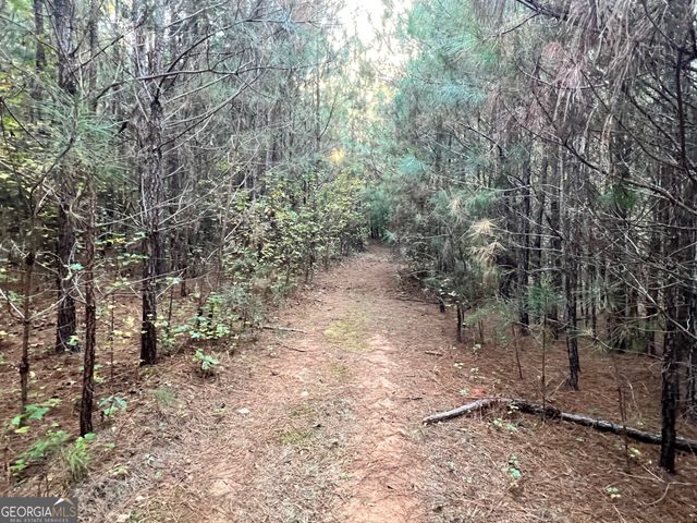 0 Plantation Road, Mcdonough, GA 30252