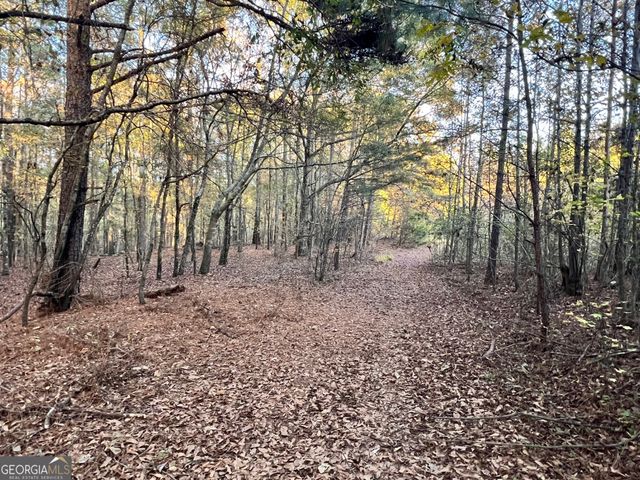 0 Plantation Road, Mcdonough, GA 30252