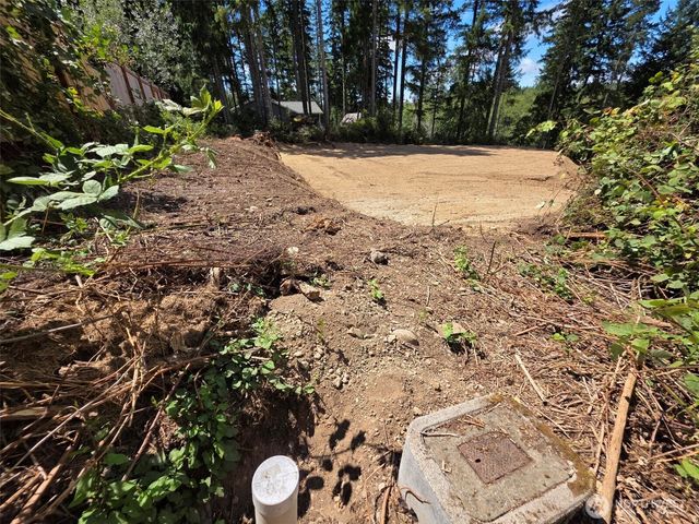 0 E Rasor Road, Belfair, WA 98528