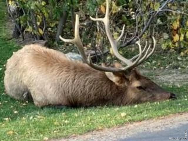 2728 Cumulus Drive, Estes Park, CO 80517