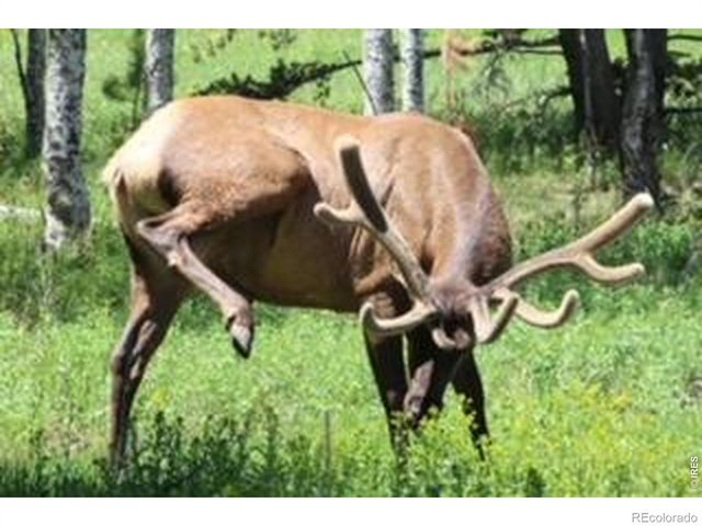 2728 Cumulus Drive, Estes Park, CO 80517