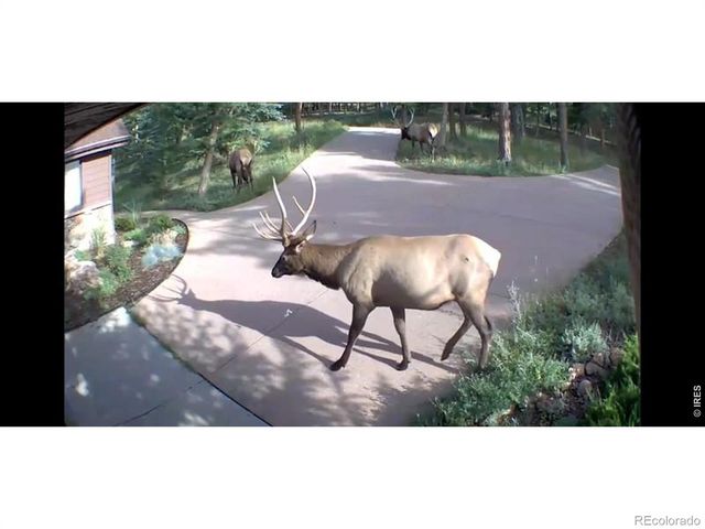 2728 Cumulus Drive, Estes Park, CO 80517