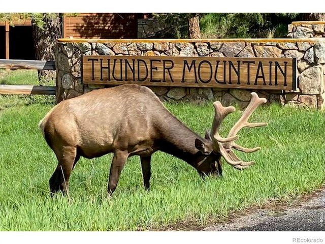 2728 Cumulus Drive, Estes Park, CO 80517