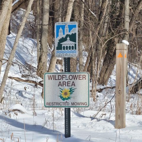 1919 Washburn Street, Cincinnati, OH 45223