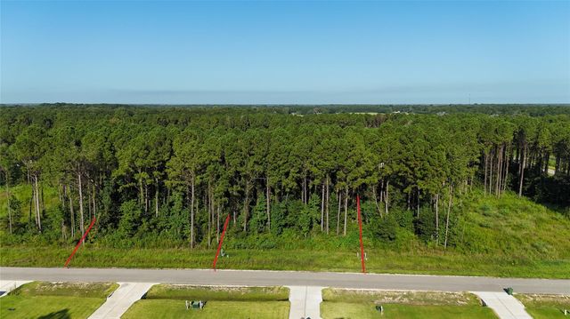 3169 Road 66125, Dayton, TX 77535