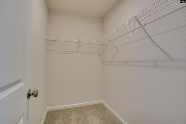 254 Summer Orchard Drive, Lexington, SC 29072