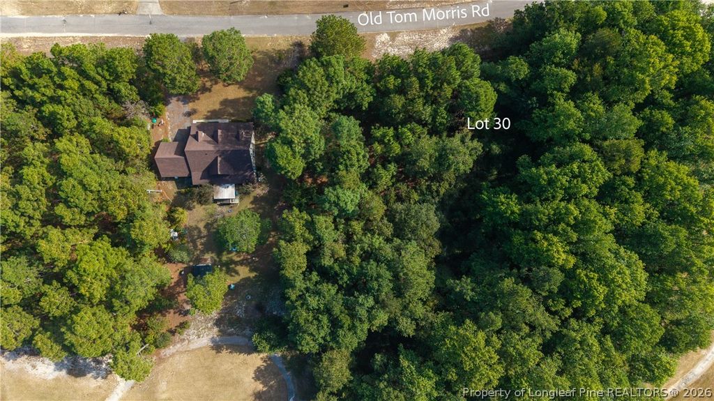 Old Tom Morris Road, Garland, NC 28441 — photo 3