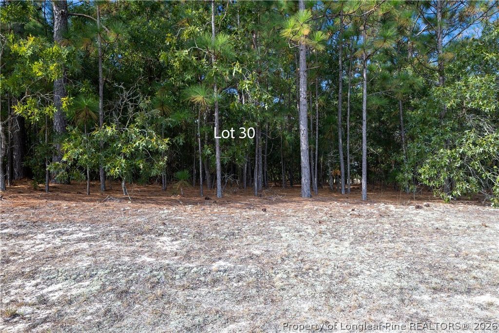 Old Tom Morris Road, Garland, NC 28441 — photo 4