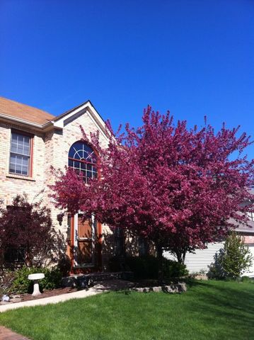 113 Woodlet Lane, Bolingbrook, IL 60490