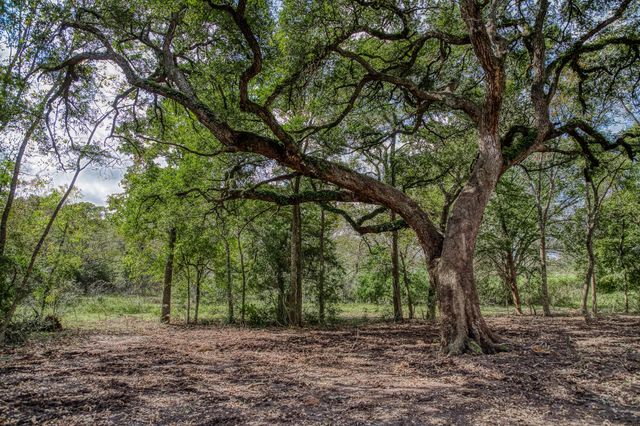 Tract 2 Sun Oil Road, Brenham, TX 77833