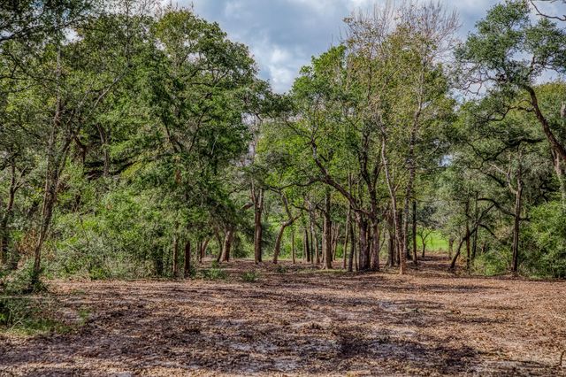 Tract 2 Sun Oil Road, Brenham, TX 77833