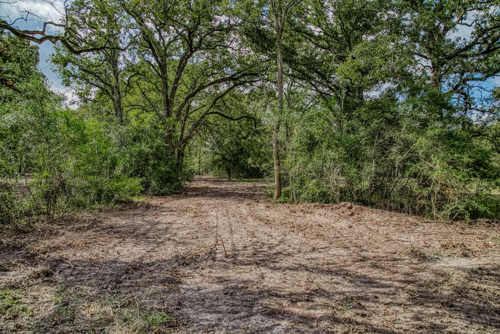 Tract 2 Sun Oil Road, Brenham, TX 77833