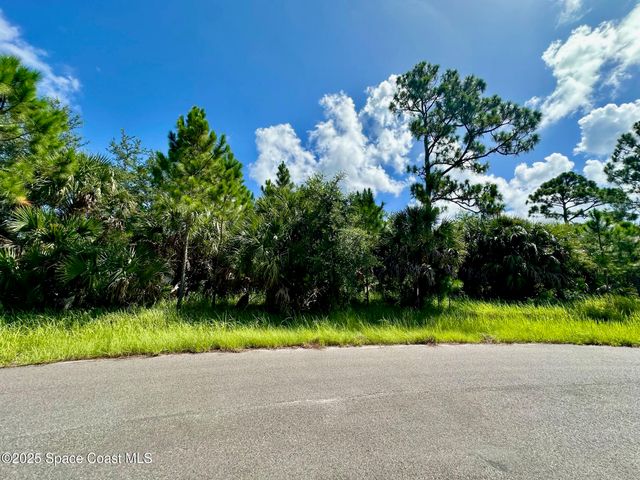 101 Lafleur Street SW, Palm Bay, FL 32908