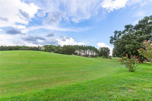 1545 N DIMAGGIO PATH, Hernando, FL 34442