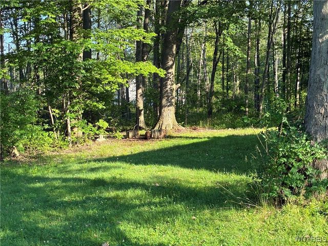 9497 Harrison Street, Evans, NY 14006