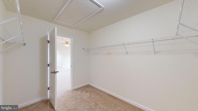 107 NICHOLAS CT, New Castle, DE 19720