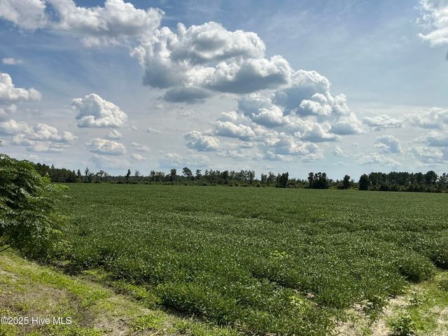 0 Near 685 Rossie Ober Road, Whiteville, NC 28472