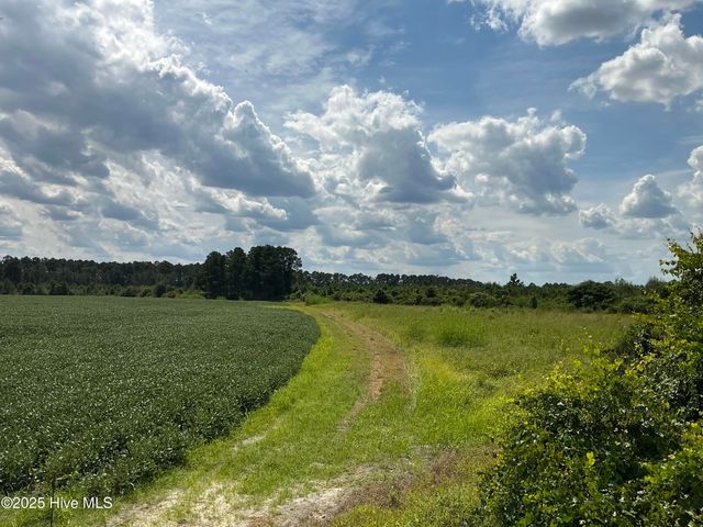 0 Near 685 Rossie Ober Road, Whiteville, NC 28472