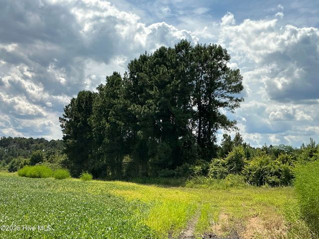 0 Near 685 Rossie Ober Road, Whiteville, NC 28472