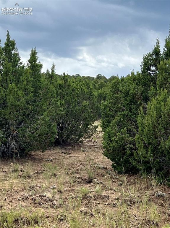SUNRISE Road, Walsenburg, CO 81089 — photo 4