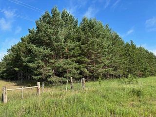 TBD 380th St, Menahga, MN 56464