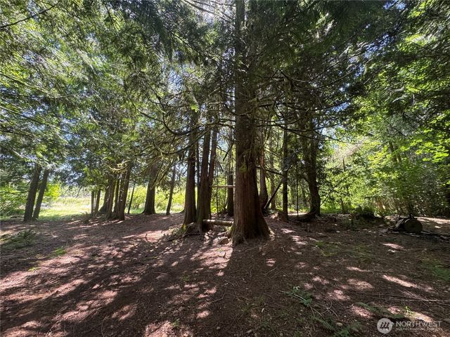 121 W Carman Road N, Shelton, WA 98584