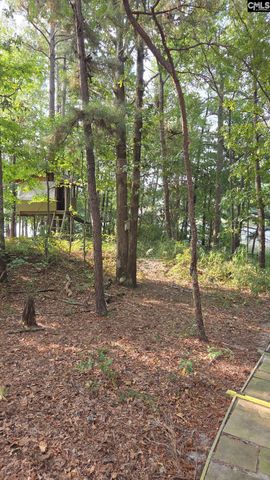 718 Sparrow Hawk Court, Blythewood, SC 29016