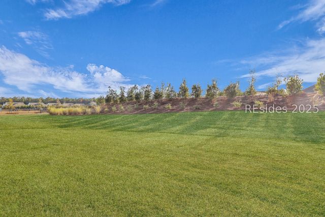 543 Wiry Green Leaf Lane, Ridgeland, SC 29936