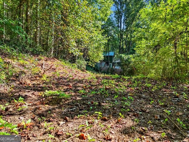 5093 Wolffork Road, Rabun Gap, GA 30568