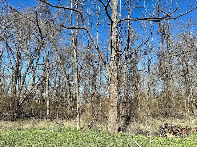 0 Fisher Ridge Rd, Tract 5, Fleming, OH 45729