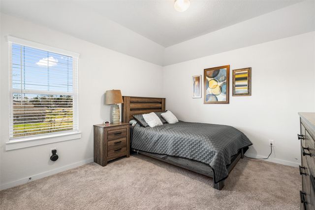 11731 Oakwood Ranch Drive, Willis, TX 77378