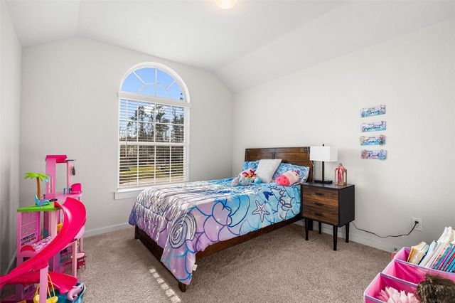 11731 Oakwood Ranch Drive, Willis, TX 77378