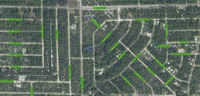 3292 Gossamer Avenue, Lake Placid, FL 33852