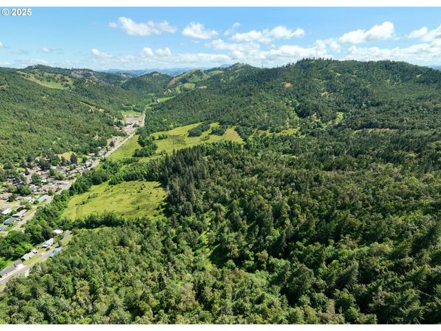 1755 Ne NEWTON CREEK Dr, Roseburg, OR 97470