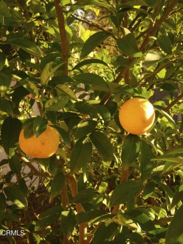 2696 Casitas Avenue, Altadena, CA 91001