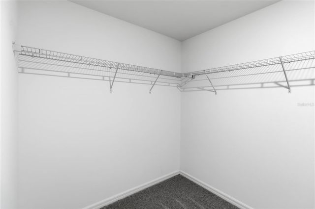 7152 SAMUEL IVY DRIVE, Tampa, FL 33619