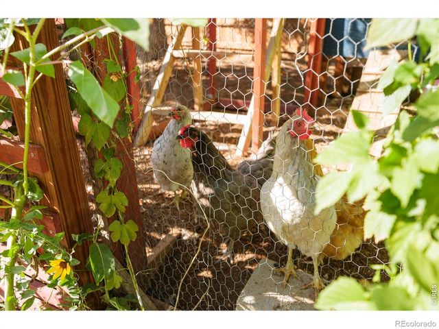1317 Arthur Avenue, Loveland, CO 80537