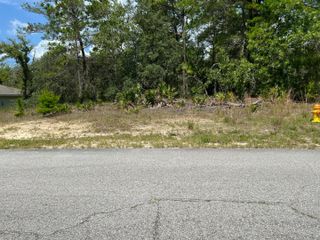 6876 N Sandborn Loop, Citrus Springs, FL 34433