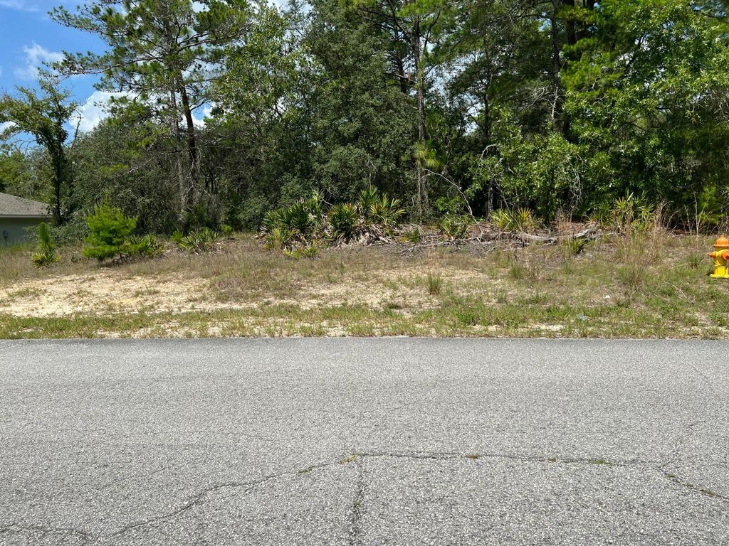 6876 N Sandborn Loop, Citrus Springs, FL 34433