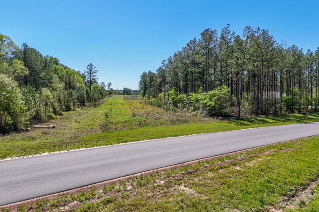 15866 Four Hills Road, Willis, TX 77378