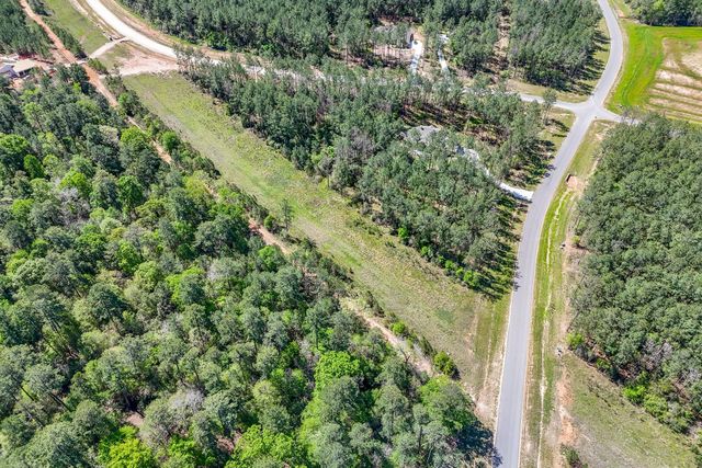 15866 Four Hills Road, Willis, TX 77378