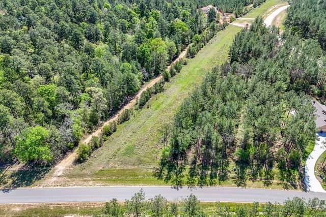 15866 Four Hills Road, Willis, TX 77378