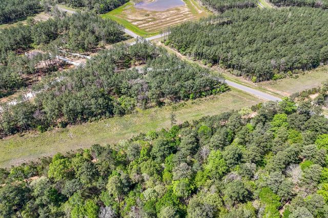 15866 Four Hills Road, Willis, TX 77378