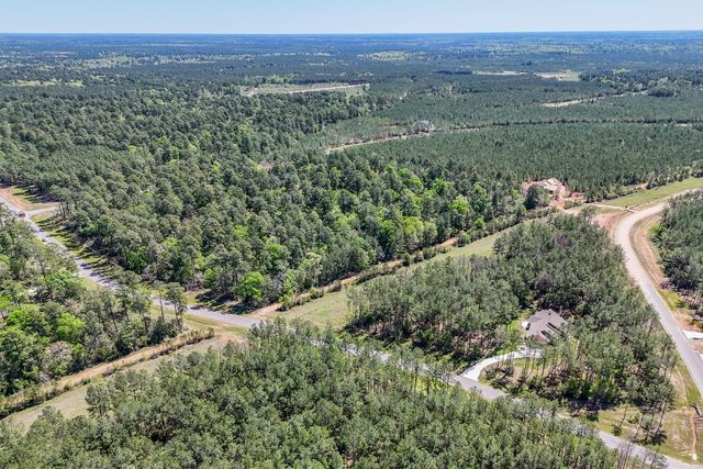 15866 Four Hills Road, Willis, TX 77378