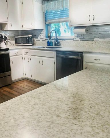 6741 SADLER ROAD, Mount Dora, FL 32757