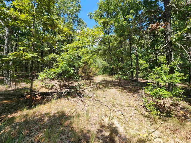 L101-103, B-3 Lightning Circle, Highland, AR 72542