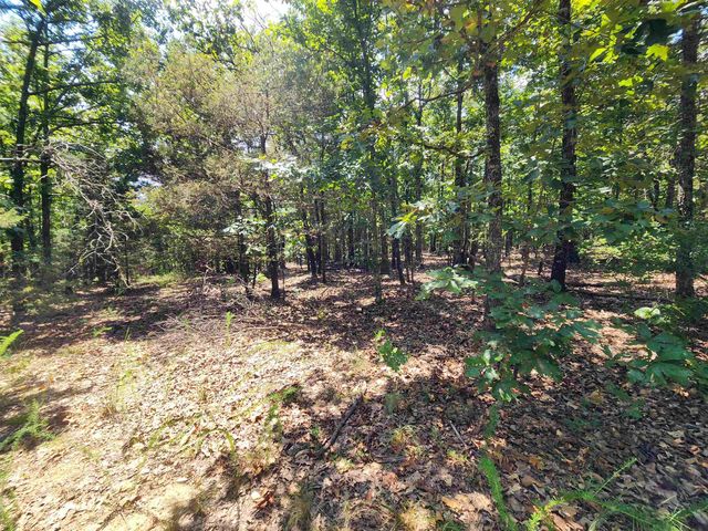 L101-103, B-3 Lightning Circle, Highland, AR 72542