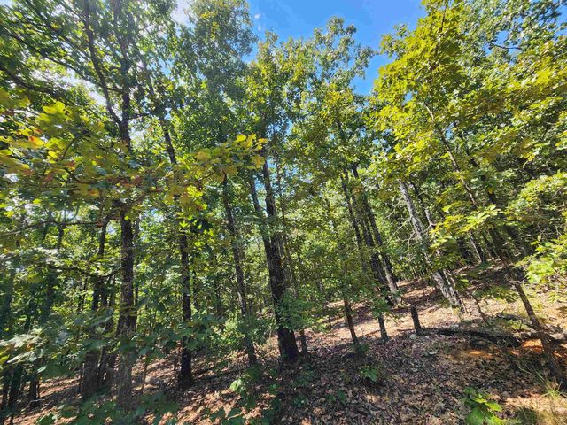 L101-103, B-3 Lightning Circle, Highland, AR 72542