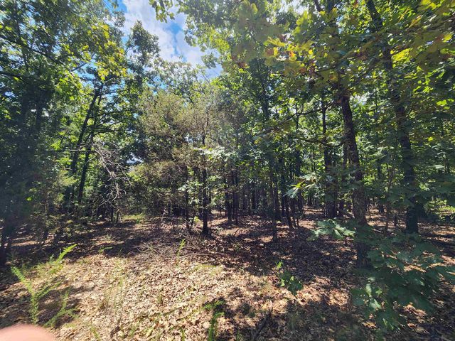 L101-103, B-3 Lightning Circle, Highland, AR 72542