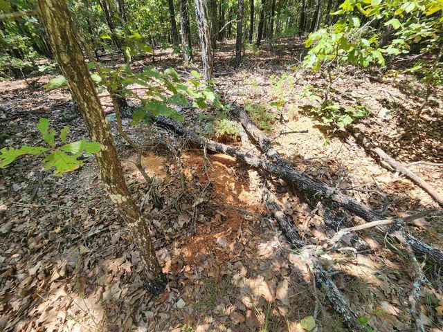 L101-103, B-3 Lightning Circle, Highland, AR 72542